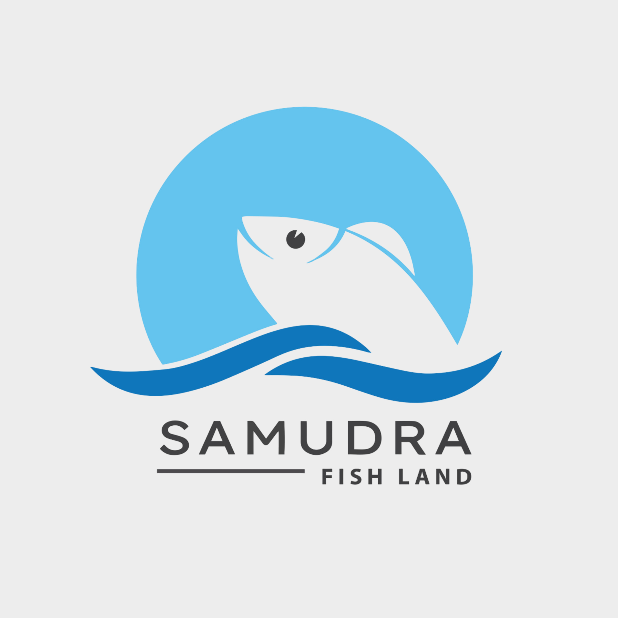 fish-dealers-logo-designing